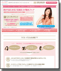 �G�s���̌����T�C�g�摜